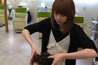 shop紹介09